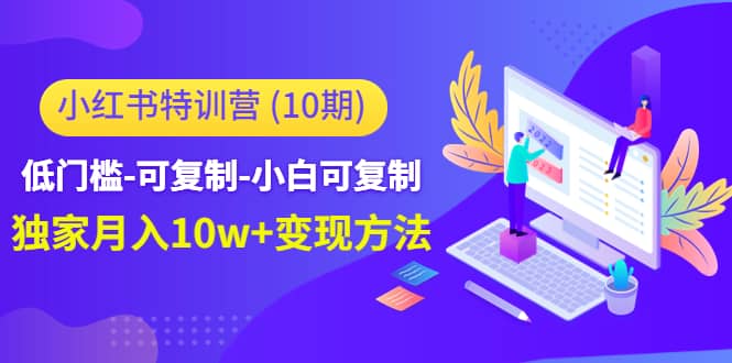 小红书特训营（第10期）低门槛-可复制-小白可复制-多米来