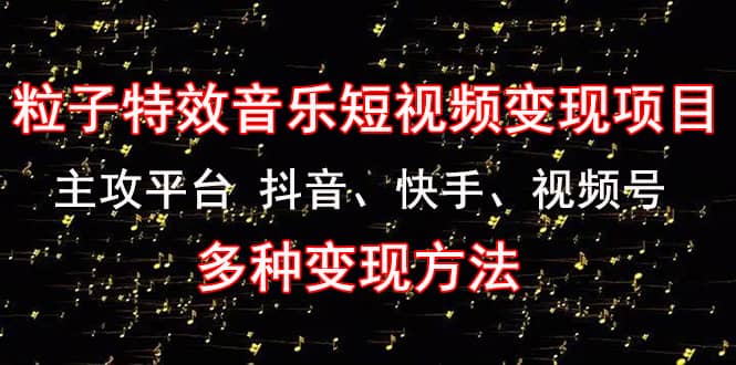 《粒子特效音乐短视频变现项目》主攻平台 抖音、快手、视频号 多种变现方法-多米来