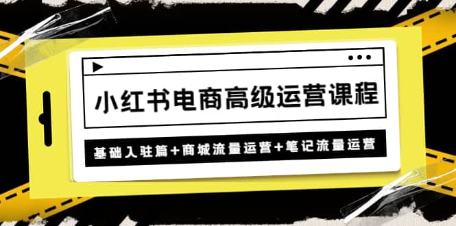 小红书电商高级运营课程：基础入驻篇 商城流量运营 笔记流量运营-多米来