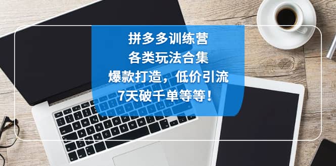 拼多多训练营：各玩法合集，爆款打造，低价引流，7天破千单等等-多米来