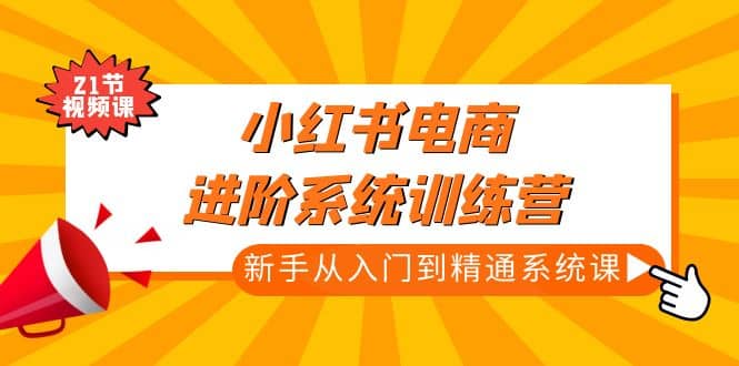 小红书电商进阶系统训练营：新手从入门到精通系统课（21节视频课）-多米来