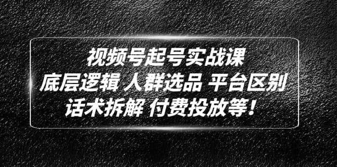 视频号起号实战课：底层逻辑 人群选品 平台区别 话术拆解 付费投放等-多米来