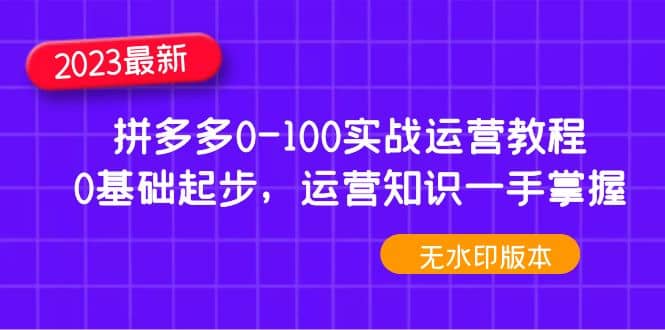 2023拼多多0-100实战运营教程，0基础起步，运营知识一手掌握（无水印）-多米来