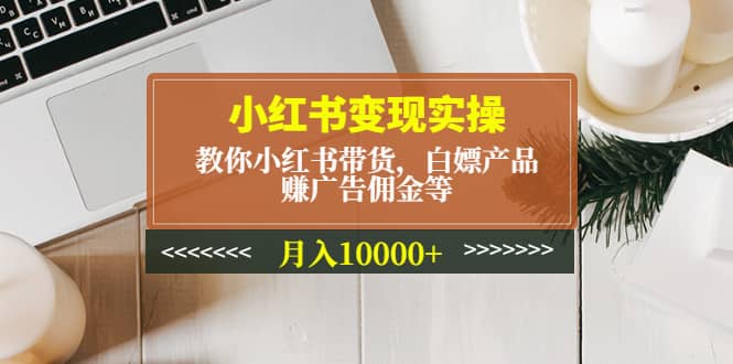 小红书变现实操：教你小红书带货，白嫖产品，赚广告佣金等-多米来