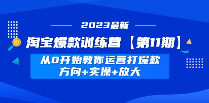 淘宝爆款训练营【第11期】 从0开始教你运营打爆款，方向 实操 放大-多米来