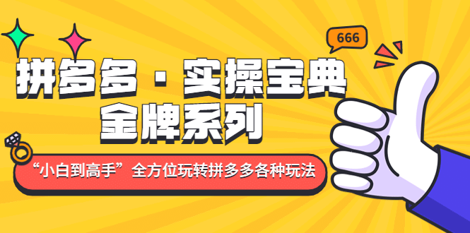 拼多多·实操宝典：金牌系列“小白到高手”带你全方位玩转拼多多各种玩法-多米来