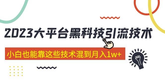 价值4899的2023大平台黑科技引流技术 29节课-多米来