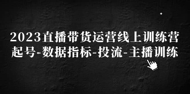 2023直播带货运营线上训练营，起号-数据指标-投流-主播训练-多米来