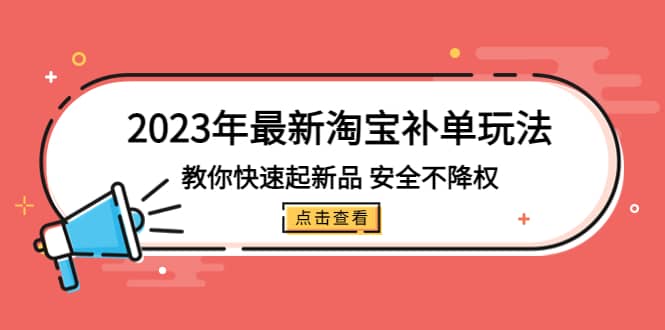 2023年最新淘宝补单玩法，教你快速起·新品，安全·不降权（18课时）-多米来