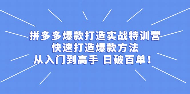 拼多多爆款打造实战特训营：快速打造爆款方法，从入门到高手 日破百单-多米来