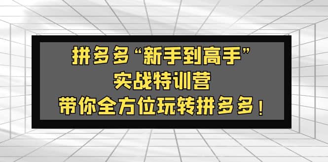 拼多多“新手到高手”实战特训营：带你全方位玩转拼多多-多米来