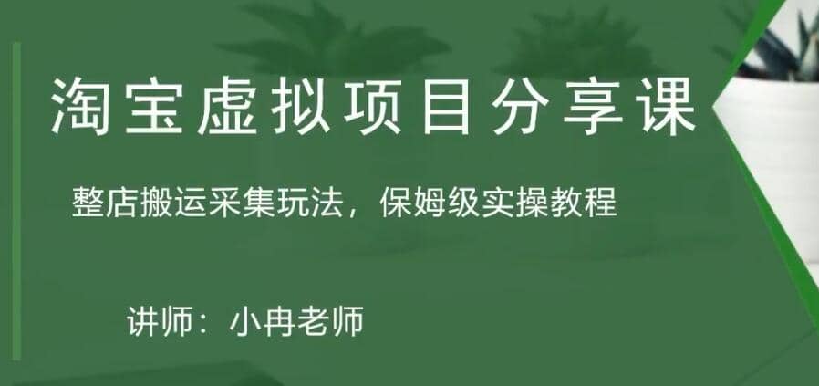 淘宝虚拟整店搬运采集玩法分享课：整店搬运采集玩法，保姆级实操教程-多米来