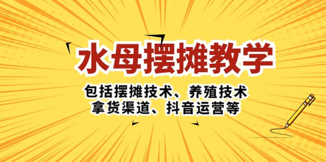 水母·摆摊教学，包括摆摊技术、养殖技术、拿货渠道、抖音运营等-多米来