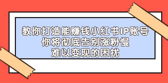 教你打造能赚钱小红书IP账号，了解透彻小红书的真正玩法-多米来