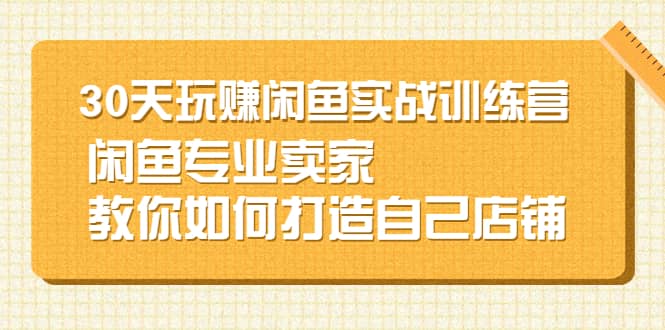 30天玩赚闲鱼实战训练营，闲鱼专业卖家教你如何打造自己店铺-多米来