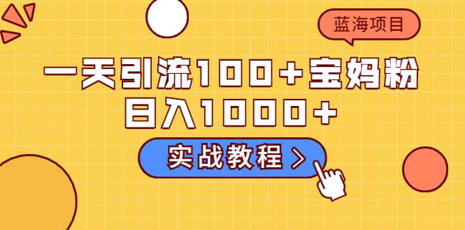 一天引流100 宝妈粉，日入1000 的蓝海项目（实战教程）-多米来