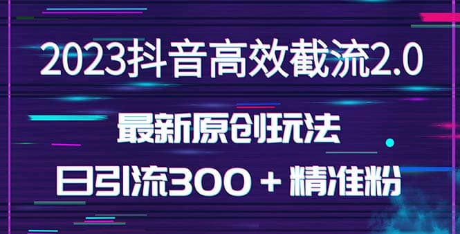 日引300＋创业粉，独家抖音高效截流2.0玩法（价值1280）-多米来