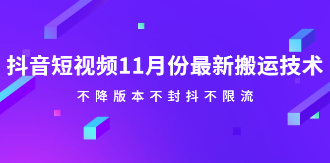 抖音短视频11月份最新搬运技术，不降版本不封抖不限流！【视频课程】-多米来