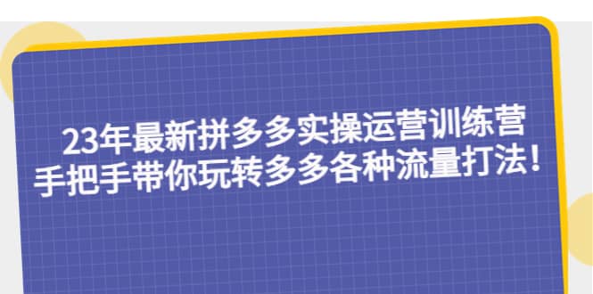 23年最新拼多多实操运营训练营：手把手带你玩转多多各种流量打法！-多米来