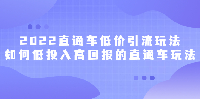 2022直通车低价引流玩法，教大家如何低投入高回报的直通车玩法-多米来