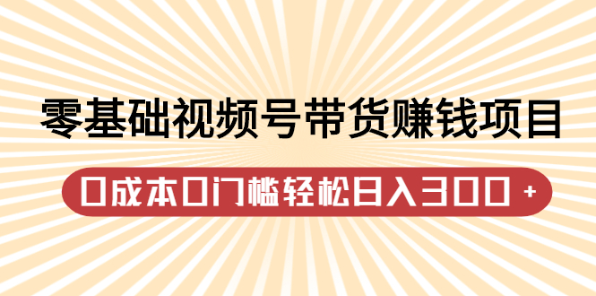 零基础视频号带货赚钱项目，0成本0门槛轻松日入300 【视频教程】-多米来