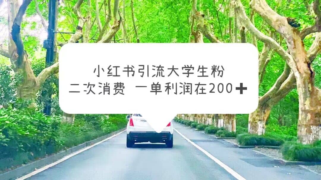 小红书引流大学生粉，变现项目，一单利润在200 （教程 资源）-多米来