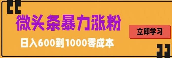 微头条暴力涨粉技巧搬运文案就能涨几万粉丝，简单0成本，日赚600-多米来