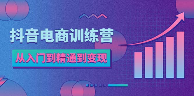 抖音电商训练营：从入门到精通，从账号定位到流量变现，抖店运营实操-多米来