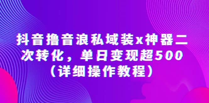 抖音撸音浪私域装x神器二次转化，单日变现超500（详细操作教程）-多米来