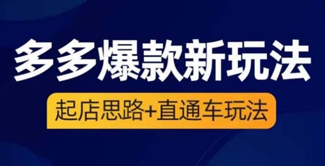 2023拼多多爆款·新玩法：起店思路 直通车玩法（3节精华课）-多米来