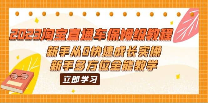 2023淘宝直通车保姆级教程：新手从0快速成长实操，新手多方位全能教学-多米来