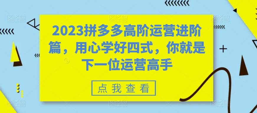 2023拼多多高阶运营进阶篇，用心学好四式，你就是下一位运营高手-多米来