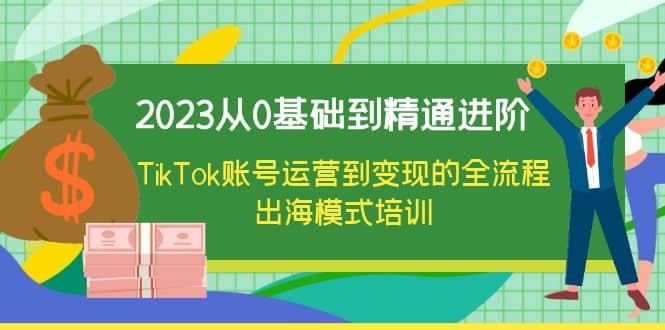 2023从0基础到精通进阶，TikTok账号运营到变现的全流程出海模式培训-多米来