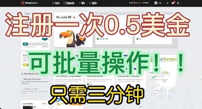 国外项目注册一次0.5美金 只需三分钟无脑操作 可批量放大 小白工作室福利-多米来