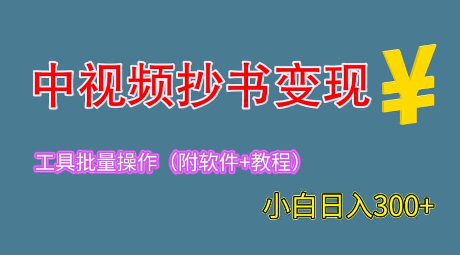 2023中视频抄书变现（附工具 教程），一天300 ，特别适合新手操作的副业-多米来