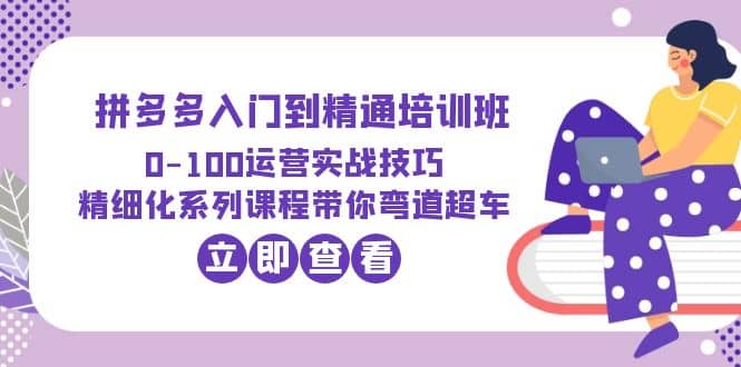 2023拼多多入门到精通培训班：0-100运营实战技巧 精细化系列课带你弯道超车-多米来