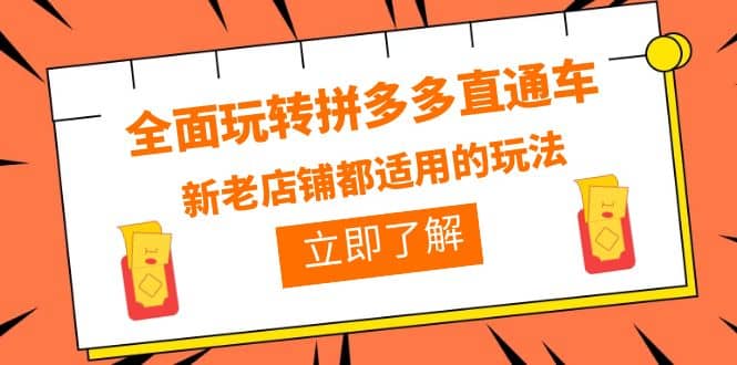 全面玩转拼多多直通车，新老店铺都适用的玩法（12节精华课）-多米来