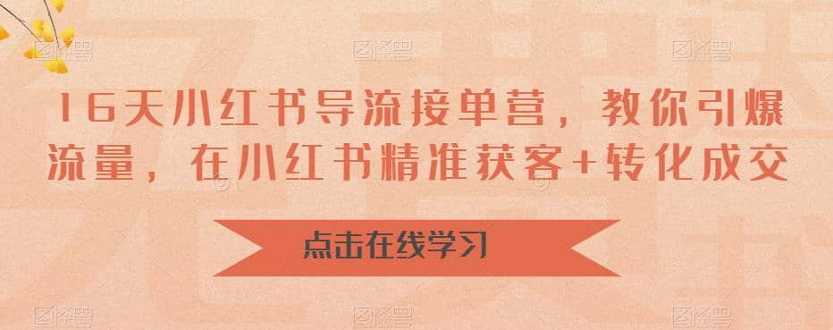 16天-小红书 导流接单营，教你引爆流量，在小红书精准获客 转化成交-多米来