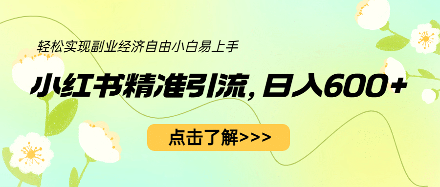 小红书精准引流，小白日入600 ，轻松实现副业经济自由（教程 1153G资源）-多米来