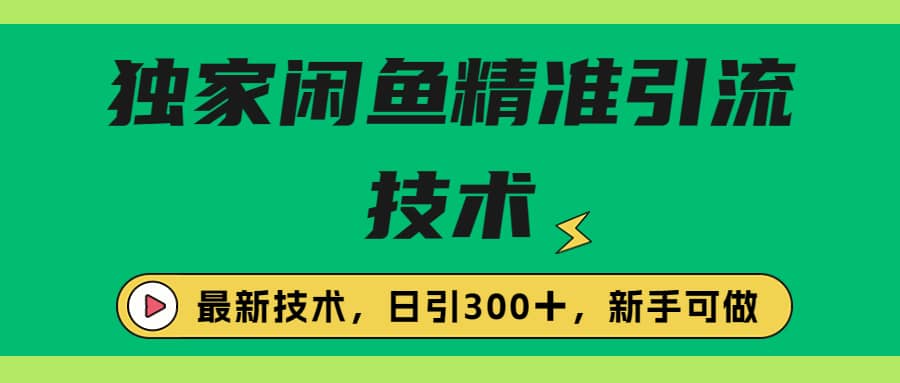 独家闲鱼引流技术，日引300＋实战玩法-多米来