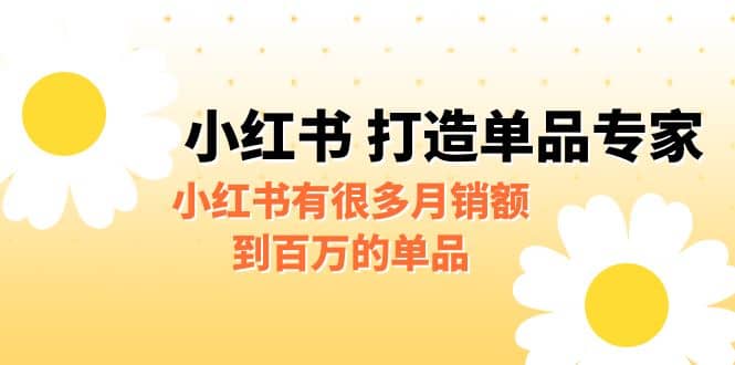 某公众号付费文章《小红书 打造单品专家》小红书有很多月销额到百万的单品-多米来