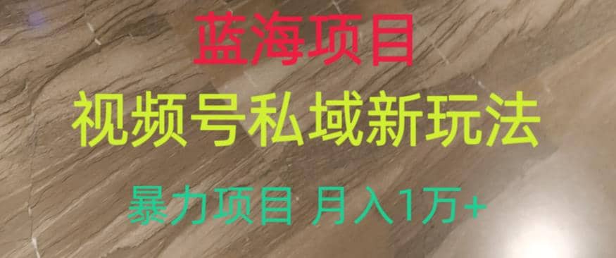 蓝海项目，视频号私域新玩法，暴力项目月入1万 【揭秘】-多米来