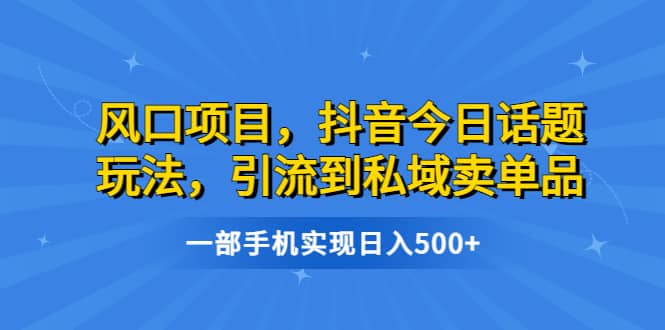 风口项目，抖音今日话题玩法，引流到私域卖单品，一部手机实现日入500-多米来