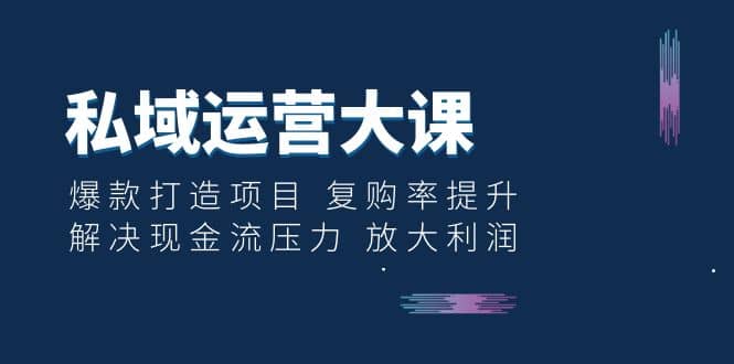 私域运营大课：爆款打造项目 复购率提升 解决现金流压力 放大利润-多米来