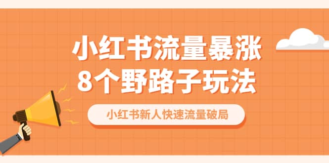 小红书流量-暴涨8个野路子玩法：小红书新人快速流量破局（8节课）-多米来