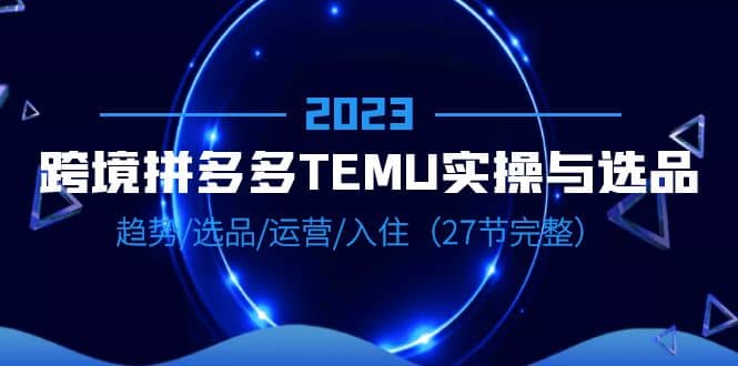 2023跨境·拼多多·TEMU实操与选品，趋势·选品·运营·入住（27节完整）-多米来