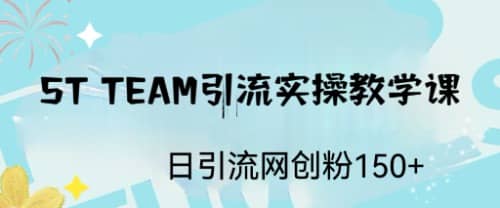 ST TEAM引流实操课，日引流网创粉100-多米来