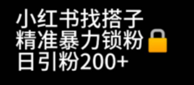 小红书找搭子暴力精准锁粉 引流日引200 精准粉-多米来