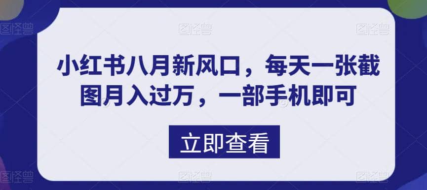 八月新风口，小红书虚拟项目一天收入1000 ，实战揭秘-多米来