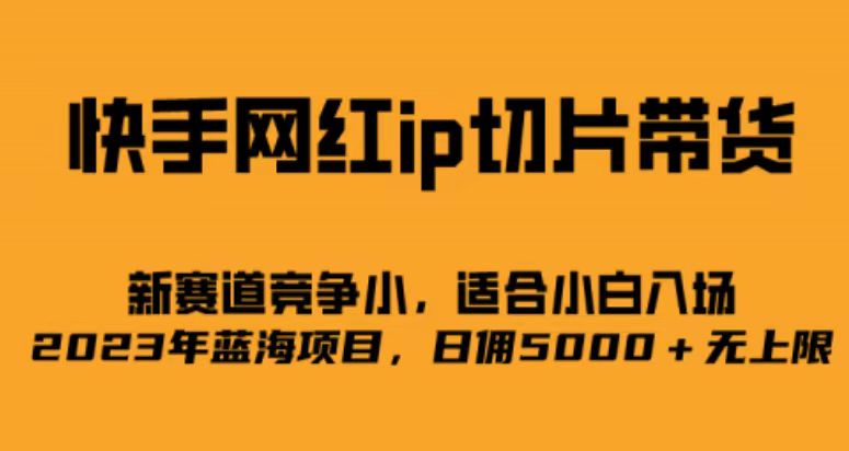 快手网红ip切片新赛道，竞争小事，适合小白 2023蓝海项目-多米来